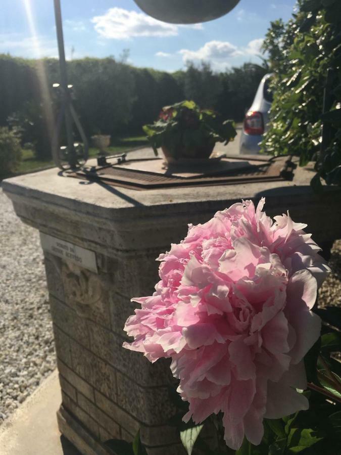Tenuta La Rosa B&B Campi Bisenzio Exterior photo