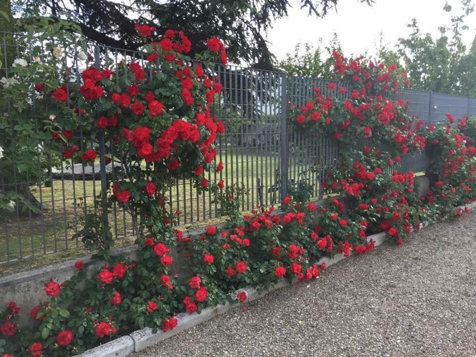Tenuta La Rosa B&B Campi Bisenzio Exterior photo